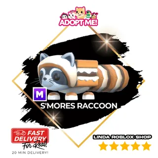 S'mores Raccoon 