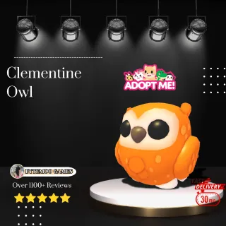 Clementine Owl 