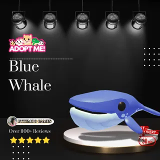 Blue Whale - Adoptme