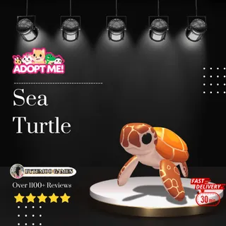 Sea Turtle in Adoptme 