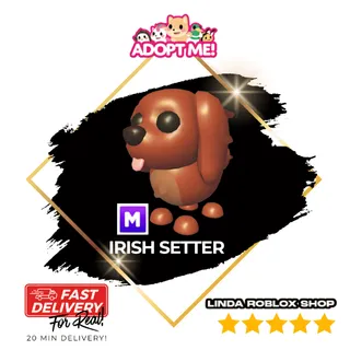 Mega Irish Setter