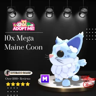 10x Mega Maine Coon - 15min Delivery