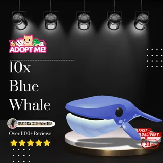 10x Blue Whale - Adoptme