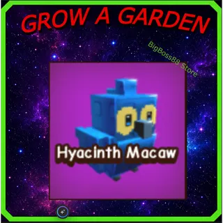 Hyacinth Macaw - Grow A Garden