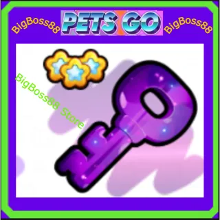 x120 Secret Key - Pets go