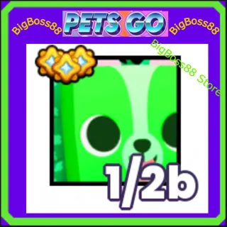 Huge Irish Corgi - Pets go