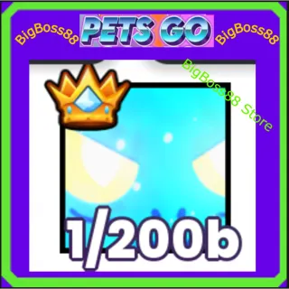 Titanic Comet Agony - Pets go