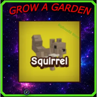 Squirrel - Grow A Garden