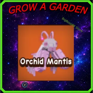 Orchid Mantis - Grow A Garden