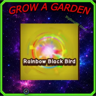 Rainbow Black Bird - Grow A Garden