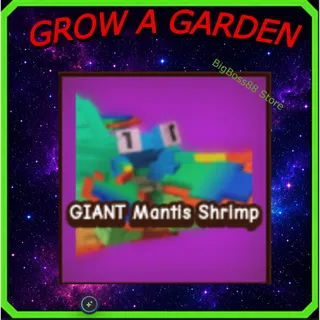 GIANT Mantis Shrimp - Grow A Garden