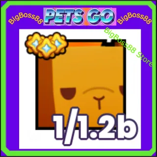 Huge Capybara - Pets go