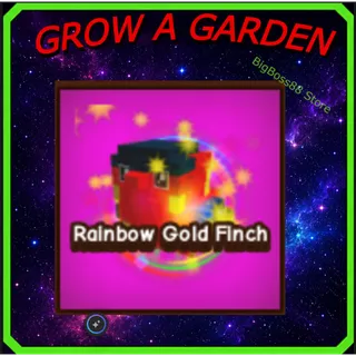 Rainbow Gold Finch - Grow A Garden