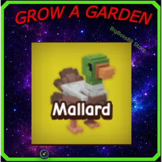 Mallard - Grow A Garden