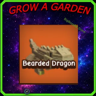Bearded Dragon - Grow A Garden