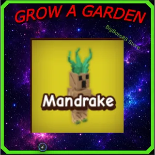 Mandrake - Grow A Garden