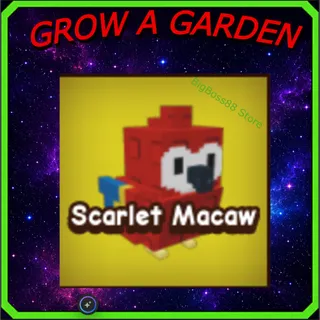Scarlet Macaw - Grow A Garden