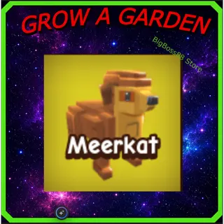 Meerkat - Grow A Garden