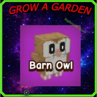 Barn Owl - Grow A Garden
