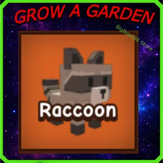 Raccoon - Grow A Garden