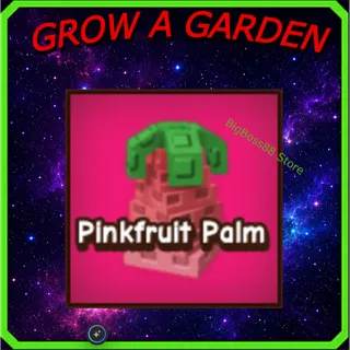 x2 Pinkfruit Palm - Grow A Garden