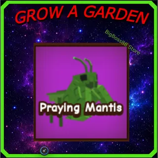 Praying Mantis - Grow A Garden