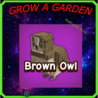 x3 Brown Owl - Grow A Garden