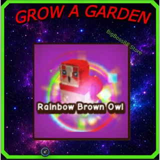 Rainbow Brown Owl - Grow A Garden