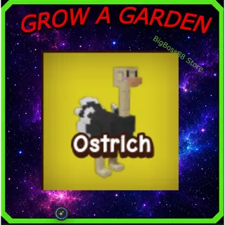 Ostrich - Grow A Garden