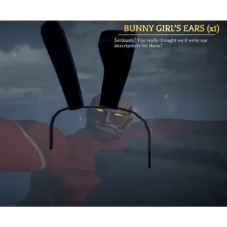 Bunny girl full set -AOTR(bunny girl attire+bunny girl ears)