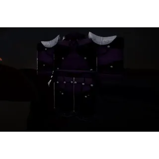 Scathach Attire | Aotr