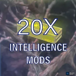 Intelligence Mod 20