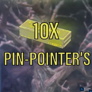 Pin Pointer Mod 10