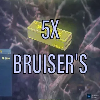 Bruiser Mod 5
