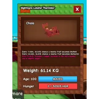 HUGE NIGHTMARE LOBSTER 60KG ++