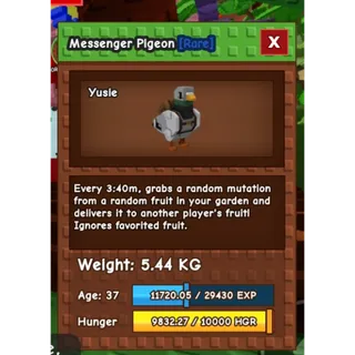 MESSENGER PIGEON