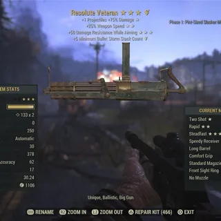 resolute veteran gun