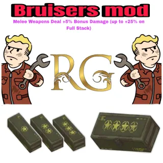 x5 bruisers mod