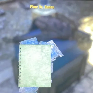 Dr bones plan