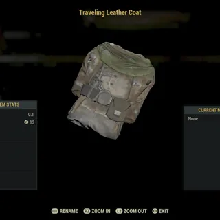 traveling leather coat