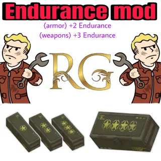 endurance mod