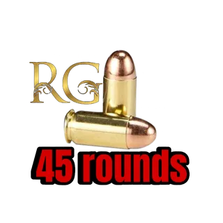 x20000 .45 ammo