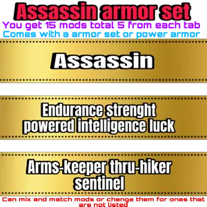 assassin armor set