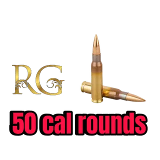 x20000 .50 cal rounds 
