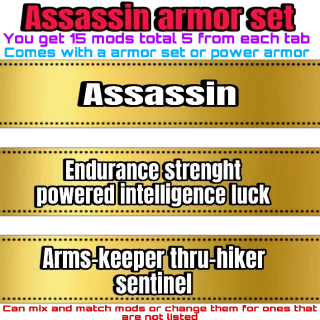 assassin armor set