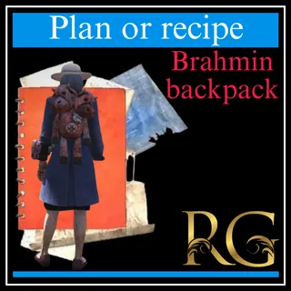 plan: Brahmin backpack
