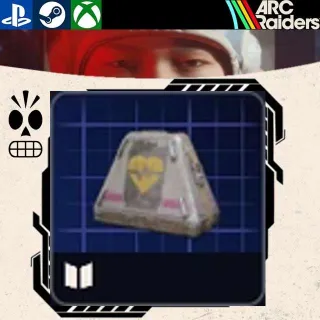 Looting Mk3 SURVIVOR BLUEPRINT