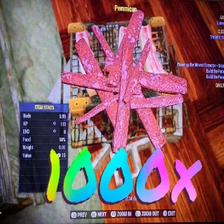 Pemmican 1000x