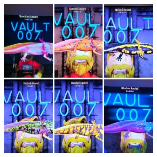 Axolotl All 6 So Far