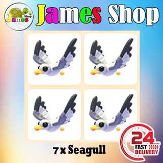 7x Seagull